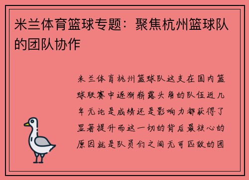 米兰体育篮球专题：聚焦杭州篮球队的团队协作